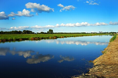 Last Minute Kreuzfahrt - Rhein Panorama