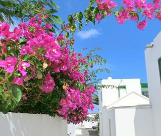 Kanaren mit Madeira ab Teneriffa